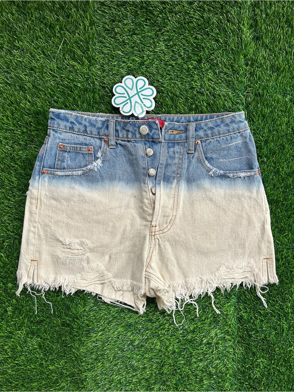 Bleached Denim Shorts